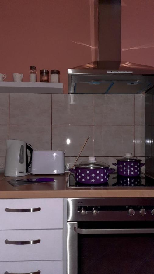 Loft Apartman Jagodina Exteriér fotografie